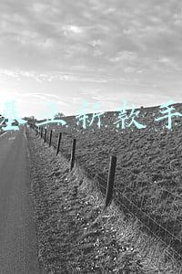 诺基亚新款手机