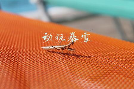 动视暴雪