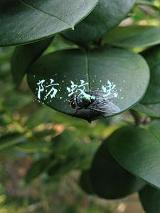 防蚊虫