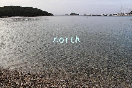 north