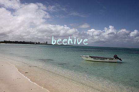 beehive