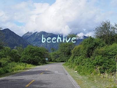 beehive