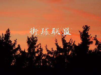 街球联盟