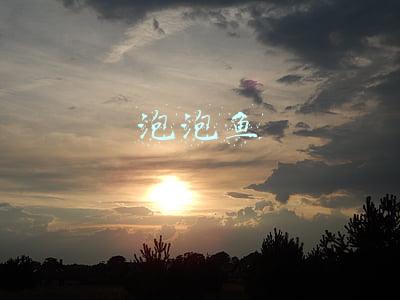 泡泡鱼