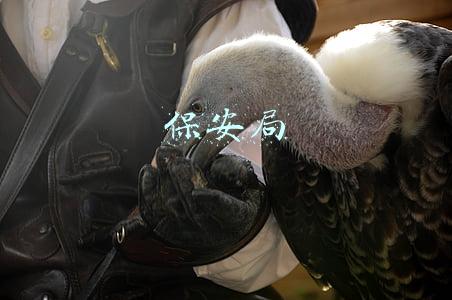 保安局