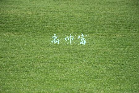 高富帅矮富帅高富丑矮富丑(层出不穷的“拼媛”“佛媛”…终于将“名媛”变成了贬义词)
