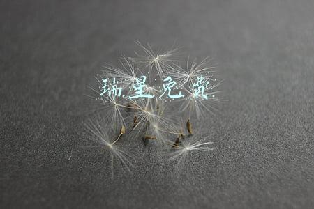 瑞星免费