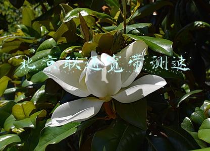北京联通宽带测速