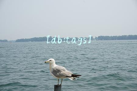 [db:tags]