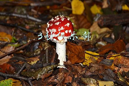 3秒俱乐部
