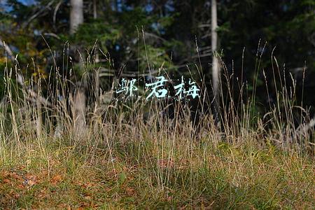 邬君梅