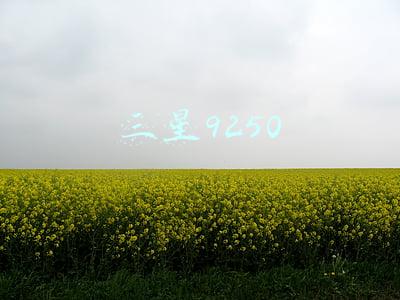 三星9250 三星9250