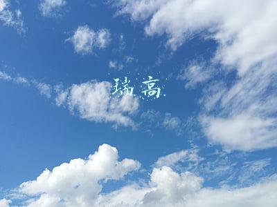 瑞高