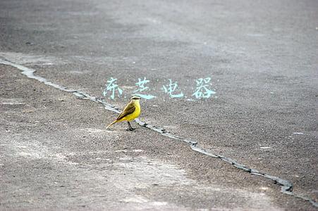 东芝电器