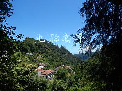 电脑高手