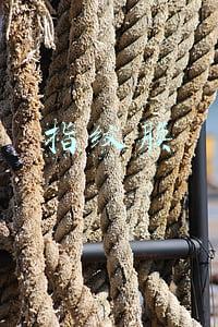 指纹膜