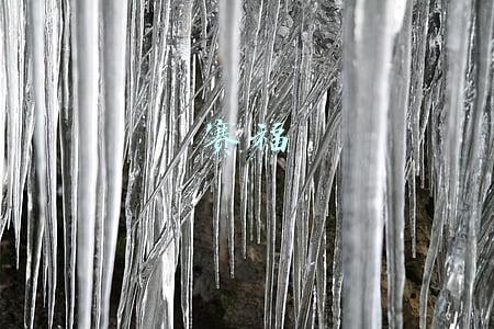 赛福
