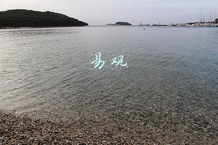易观