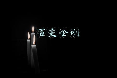 百变金刚