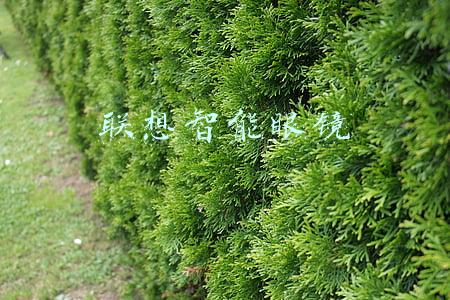 联想智能眼镜