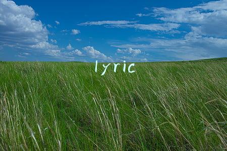lyrical(媒库文选为什么说这本书把科学变成谜)