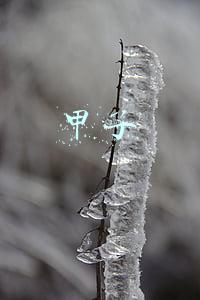 甲子