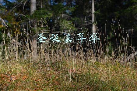 圣诞嘉年华