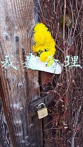 我是查理