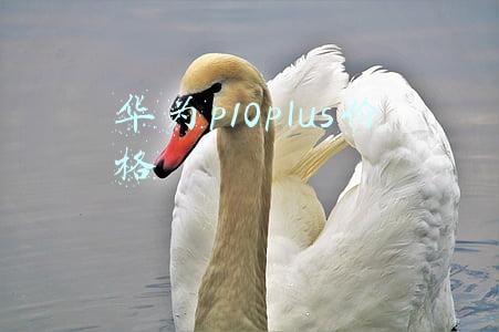 华为p10plus价格