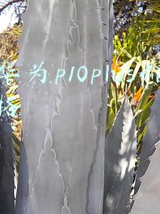 华为p10plus价格
