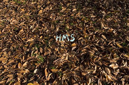 HMS