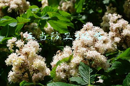 正当防卫3攻略