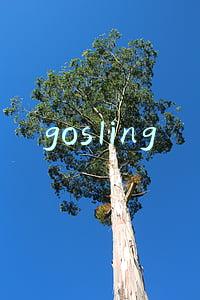 gosling