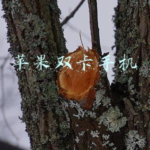 苹果双卡手机