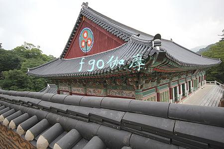 fgo伽摩