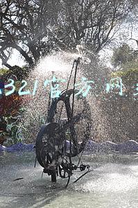 12321官方网站