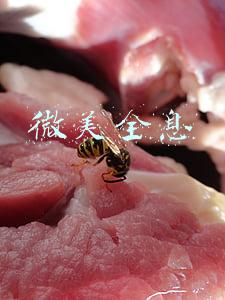 微美全息