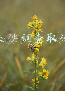 长沙行踪调查(提醒 | 紧急寻人！轨迹涉长沙地铁、餐馆、三福店、便利店…湖南疾控重要提醒)
