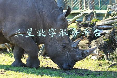 三星数字服务平台