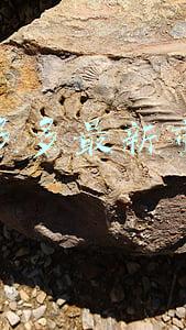 拼多多最新市值