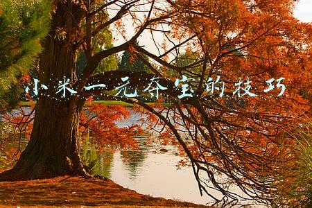 小米一元夺宝的技巧