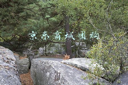 京东商城团购