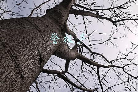 警报声110(小区莫名传来刺耳“警报声”惊动110)
