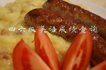 四六级英语成绩查询
