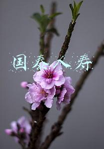 国泰人寿