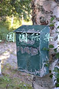美国国际集团