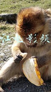 珠江电影频道