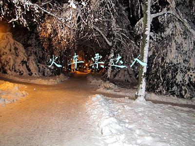 火车票达人