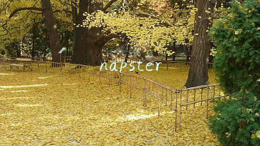 napster