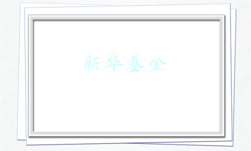 新华基金